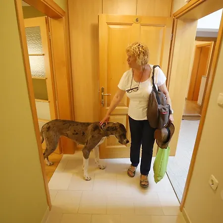 Apartman Zubcic